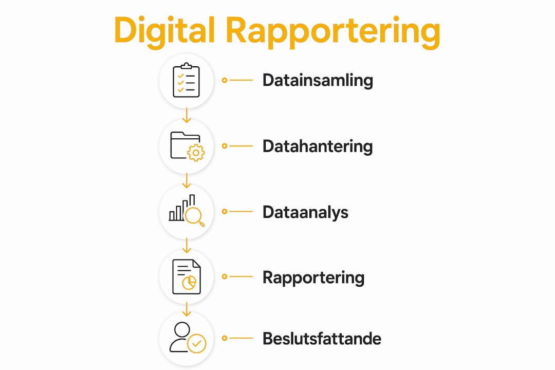 Översiktlig infografik som steg för steg visar hur den digitala rapporteringen går till