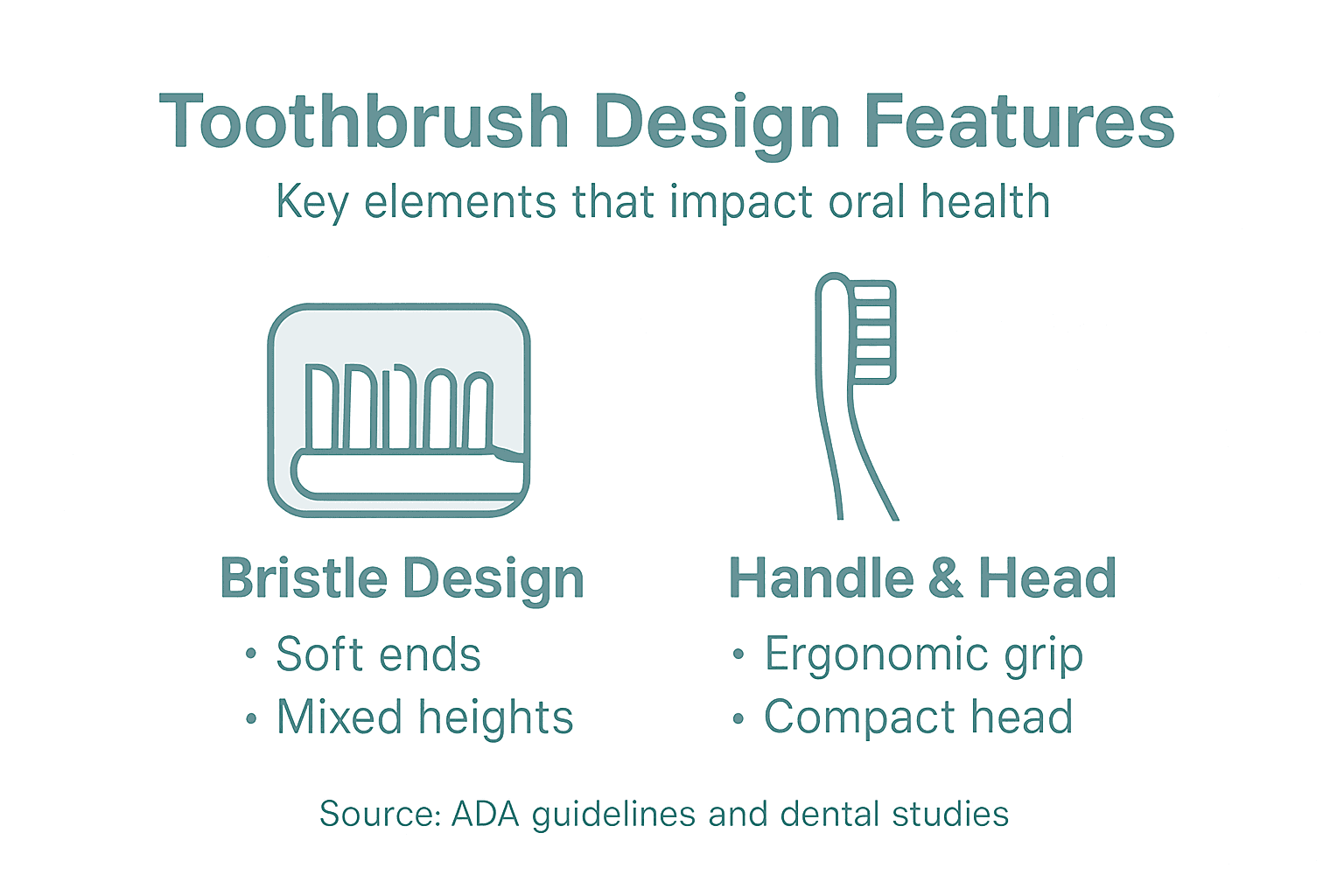 Infographic of main toothbrush design features