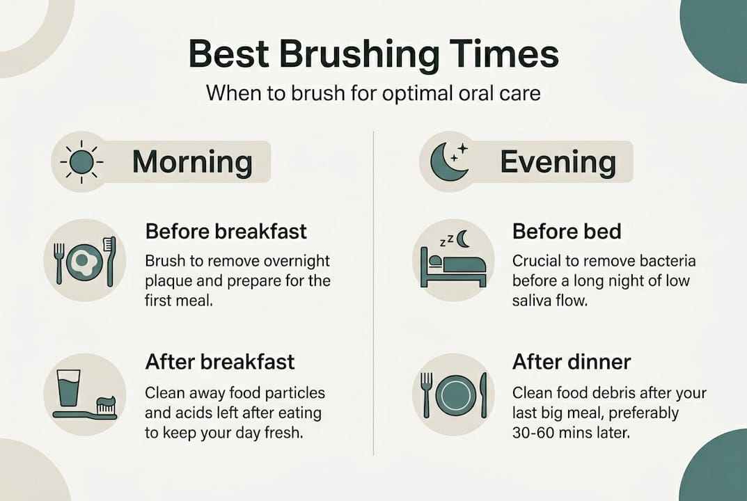 Infographic comparing morning and evening brushing