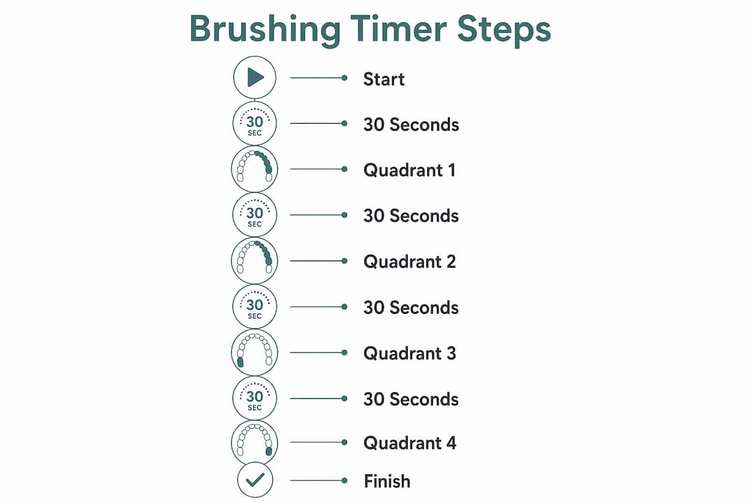 Infographic of brushing steps using timer and quadrant pacer
