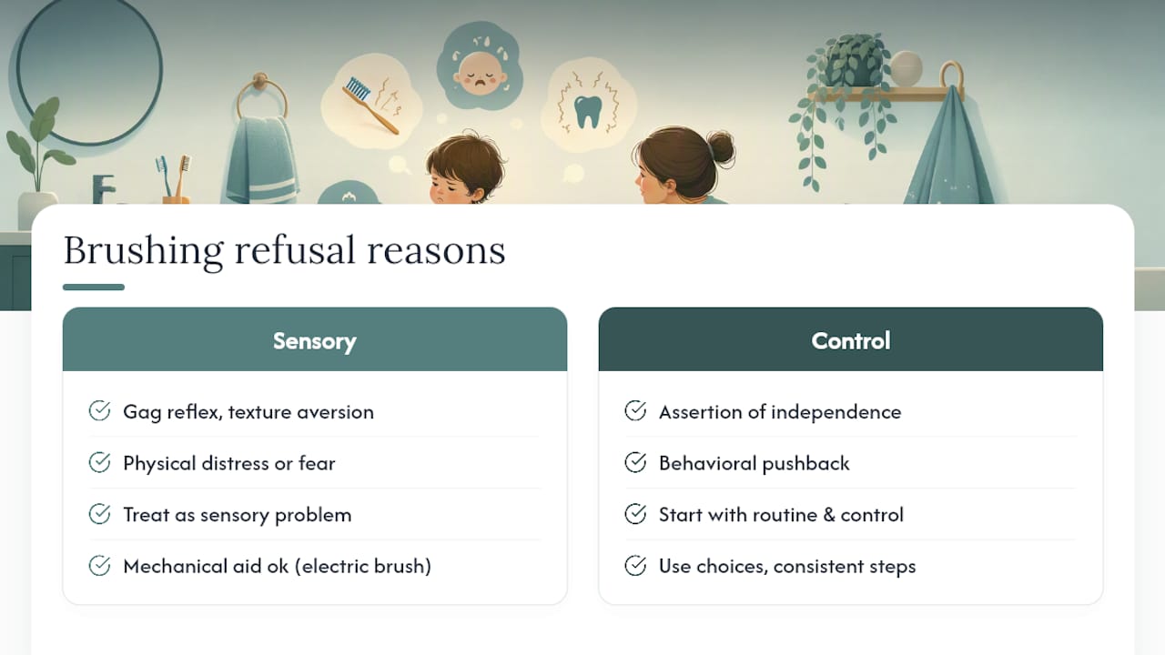Diagram comparing sensory and control reasons for toddler brushing refusal