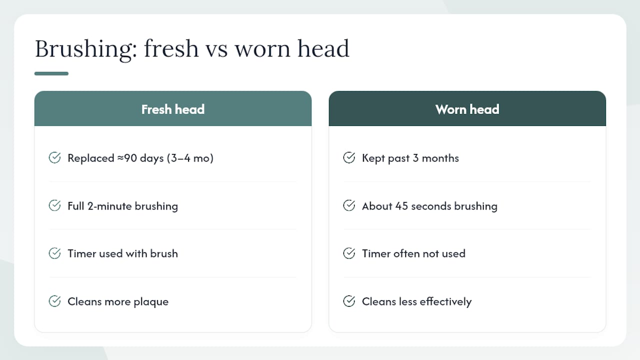 Comparison of fresh bristles and brushing duration