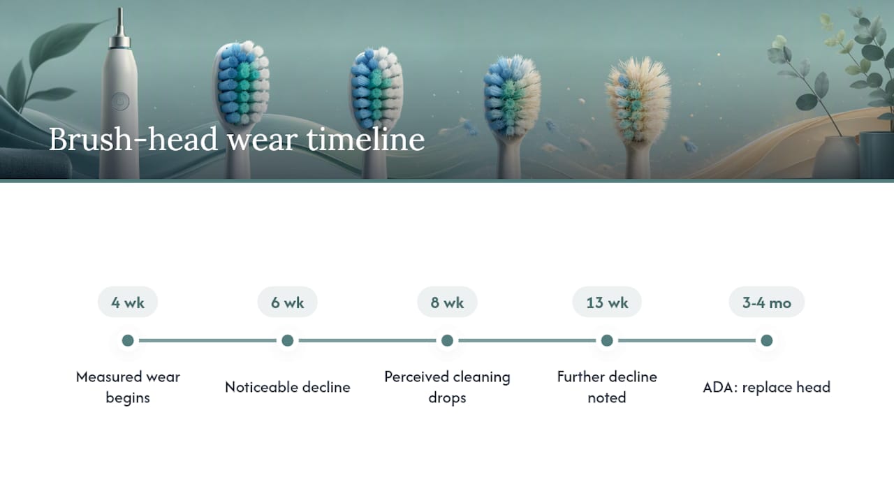 Brush-head wear timeline and cleaning decline