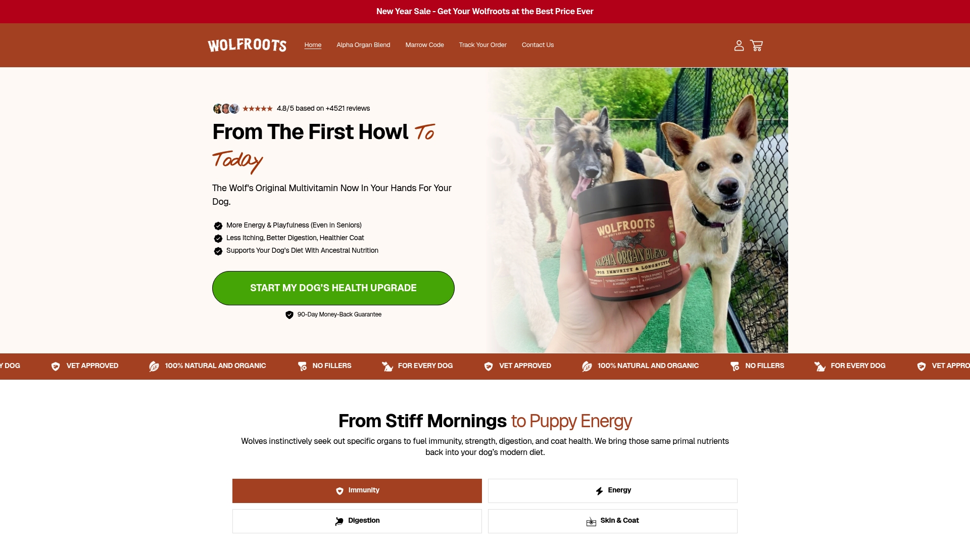 https://wolfroots.com