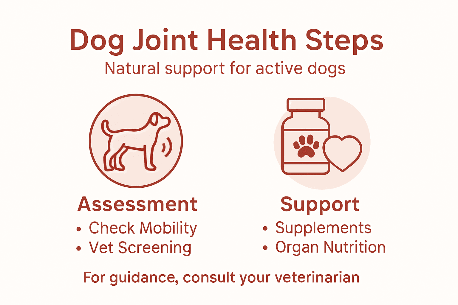 Infographic with dog joint health steps