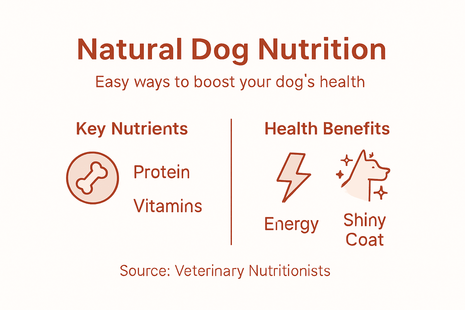 Infographic showing natural dog nutrition essentials