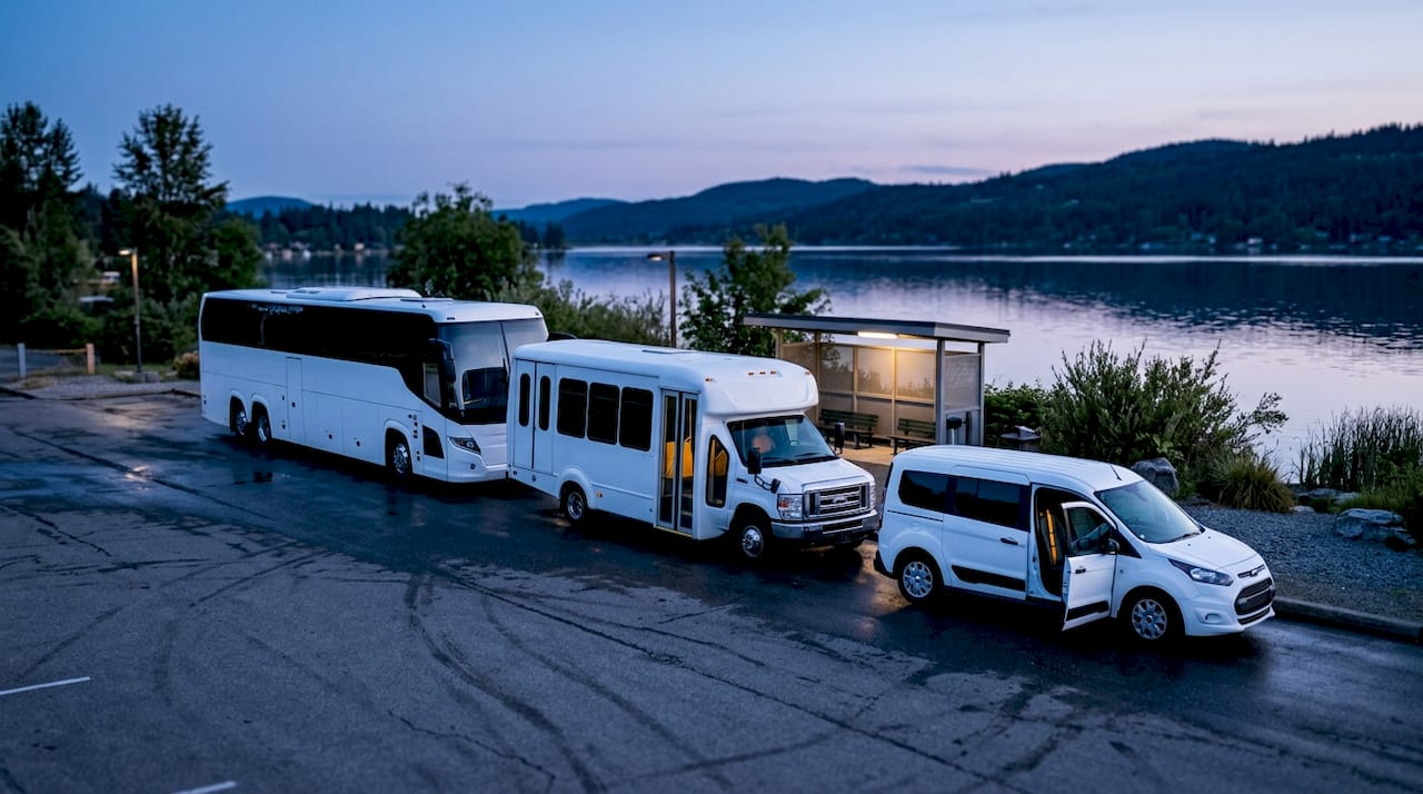 Various bus types lined up at depot