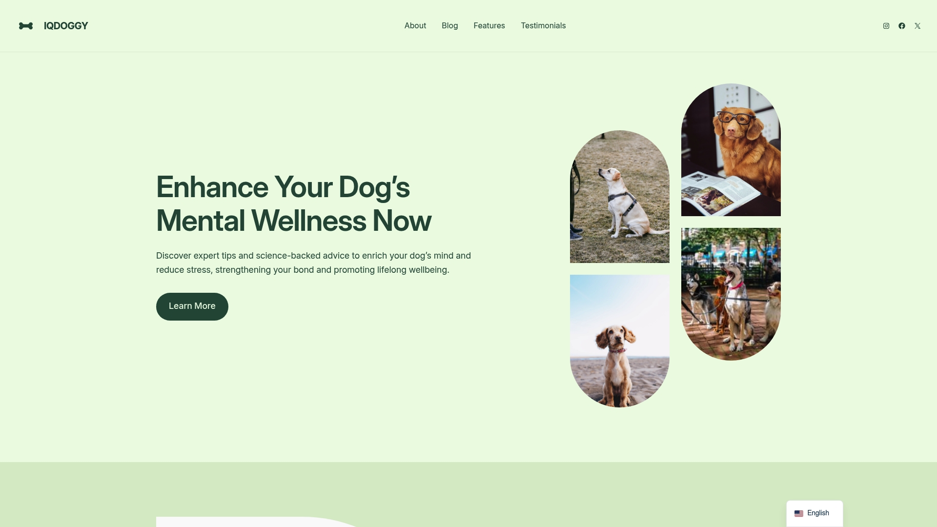 https://iqdoggy.com