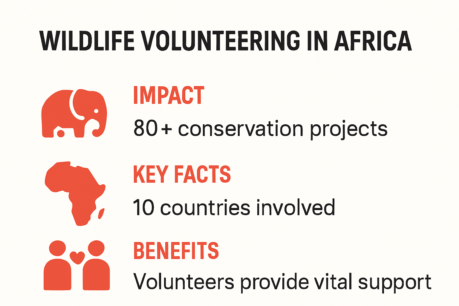 Infographic summary of wildlife volunteering in Africa