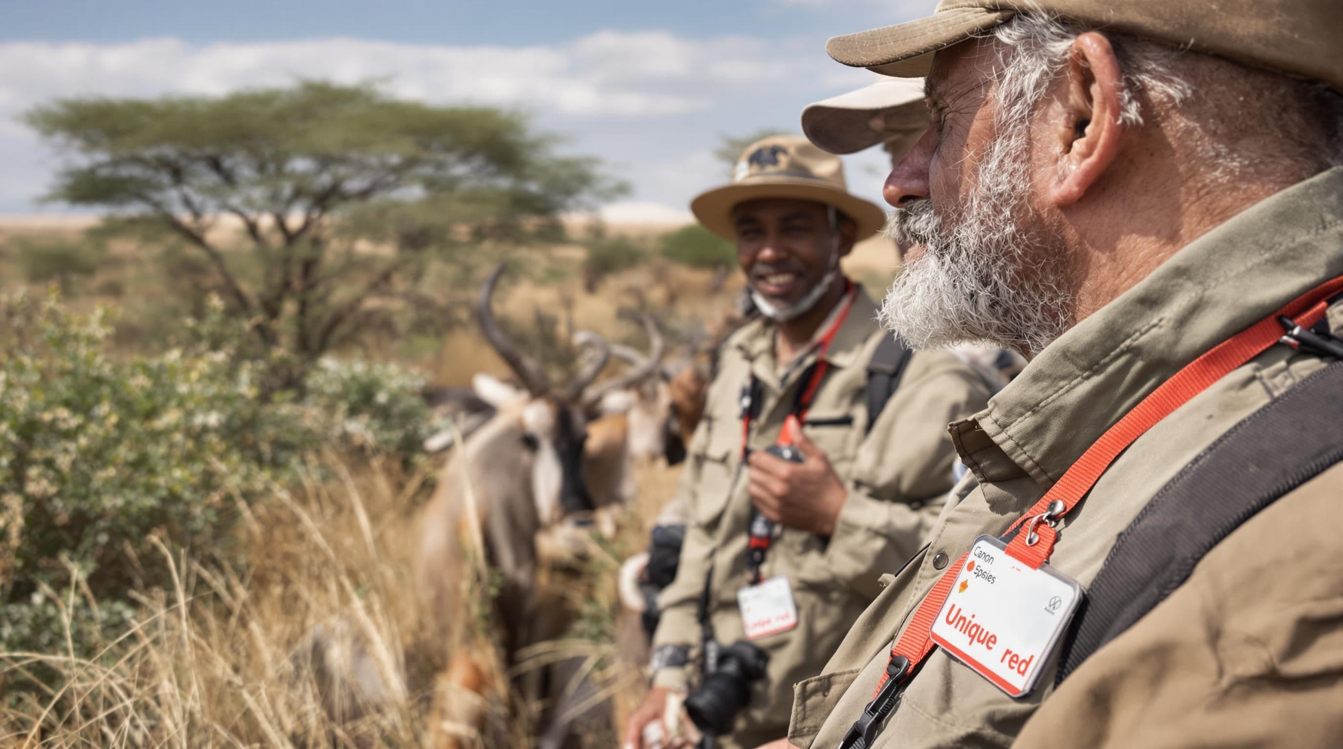 Researchers and safari travelers encountering wildebeest and oryx in the wild