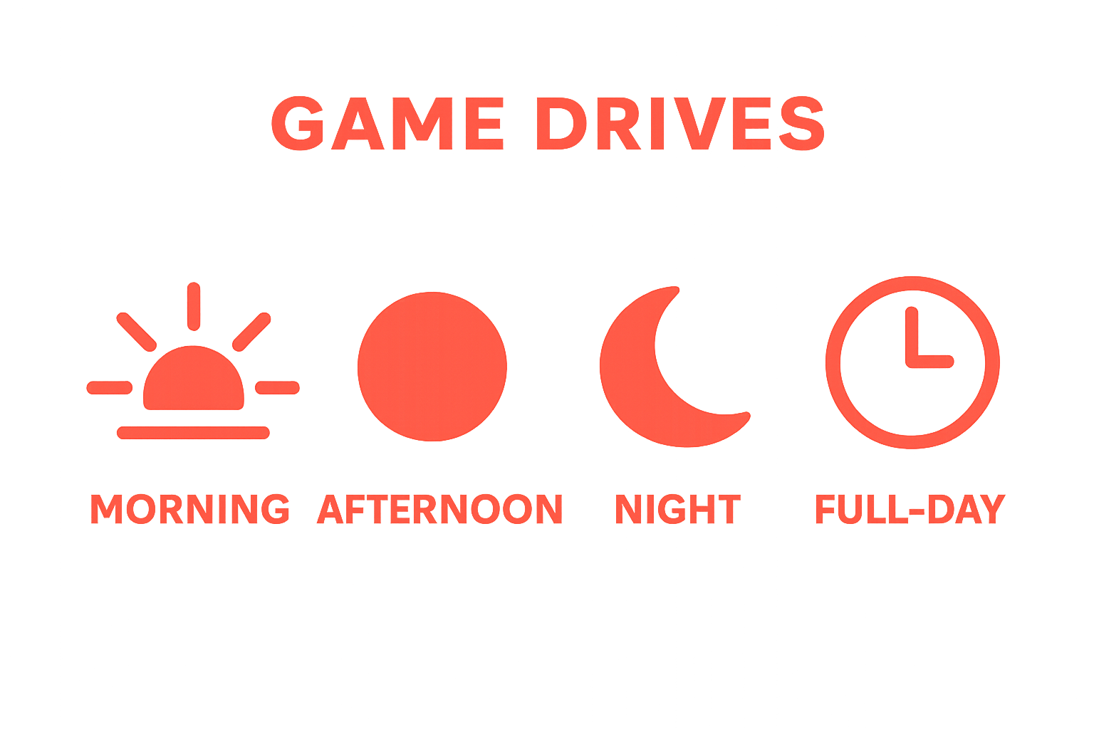 Infographic of four key types of game drives