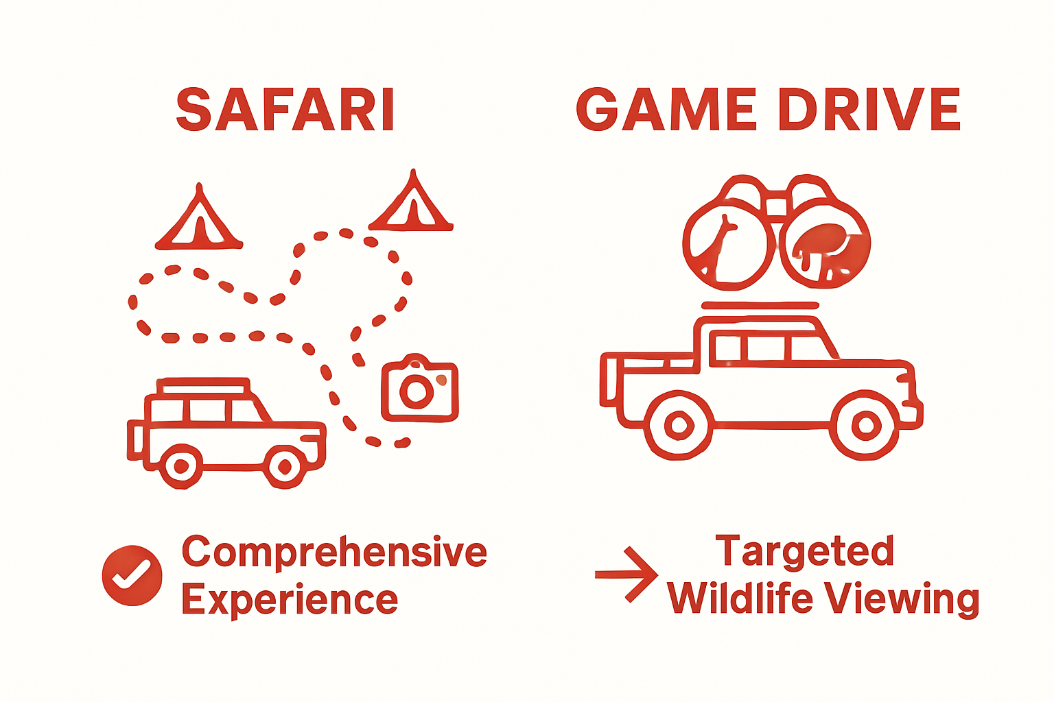 Simple infographic comparing safari and game drive experiences