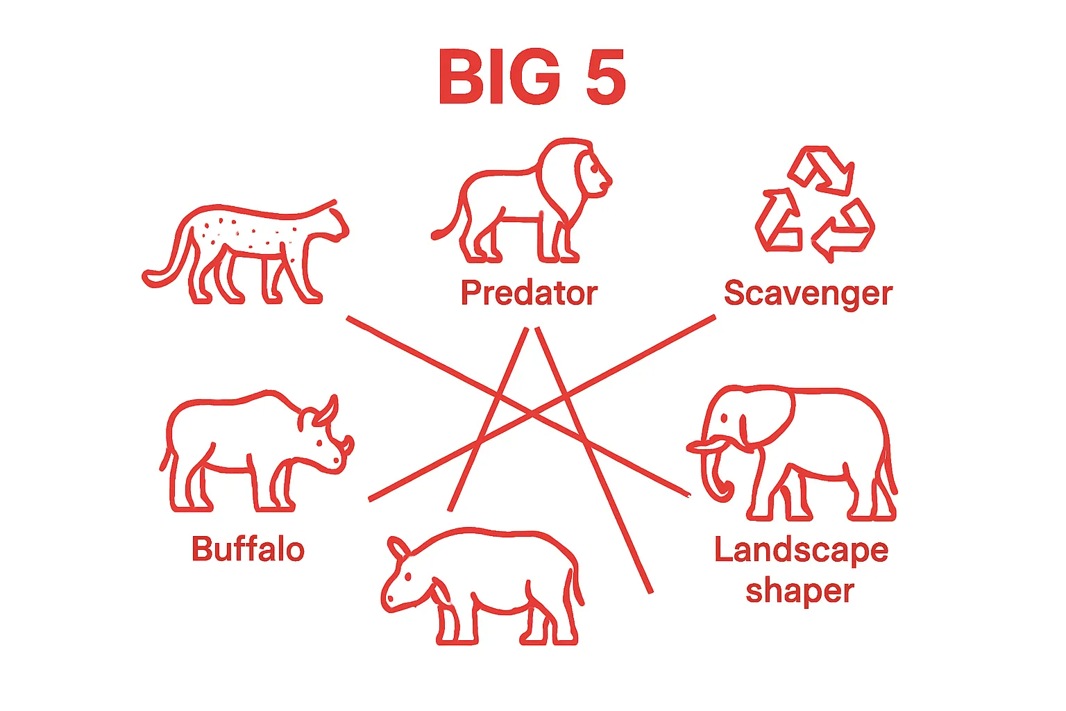 Icons show Big Five animals and their ecosystem roles