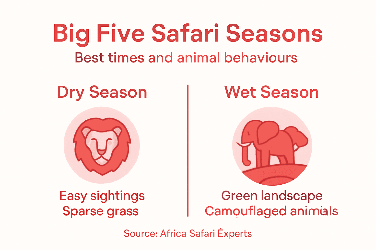Infographic on Big Five safari seasons overview