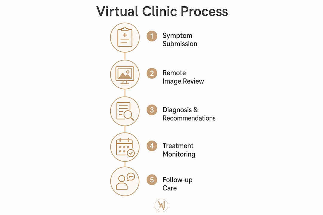 Infographic illustrating virtual skin clinic process steps