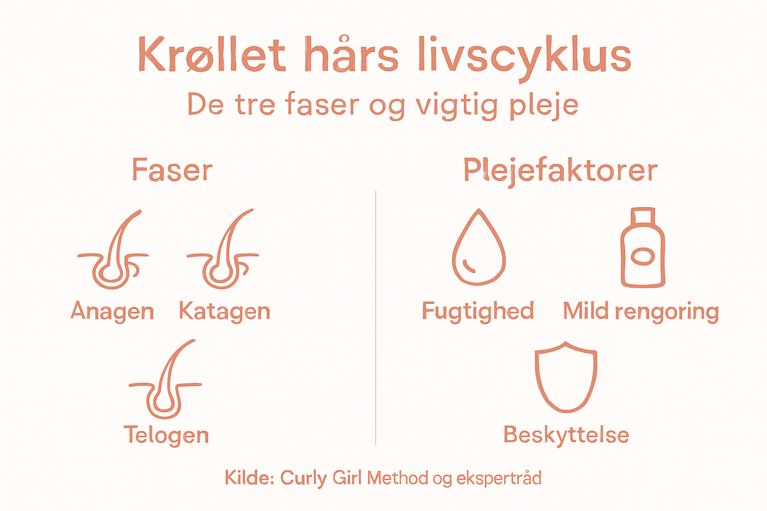 Oversigt over hårets forskellige faser og gode råd til pleje