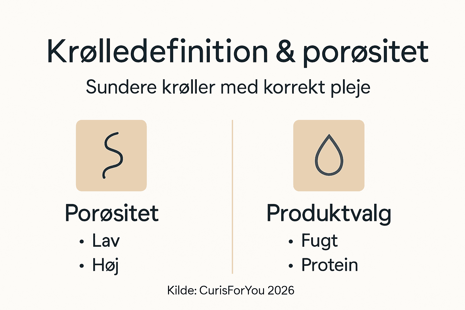 Grafik: Sådan forstår du dine krøllers struktur og hårets porøsitet