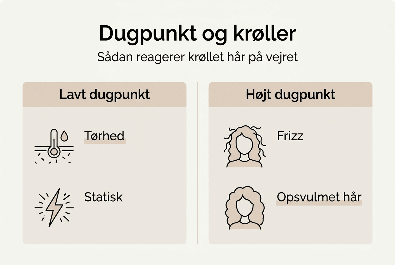 Infografik: Sådan påvirker dugpunktet dig, hvis du har krøller