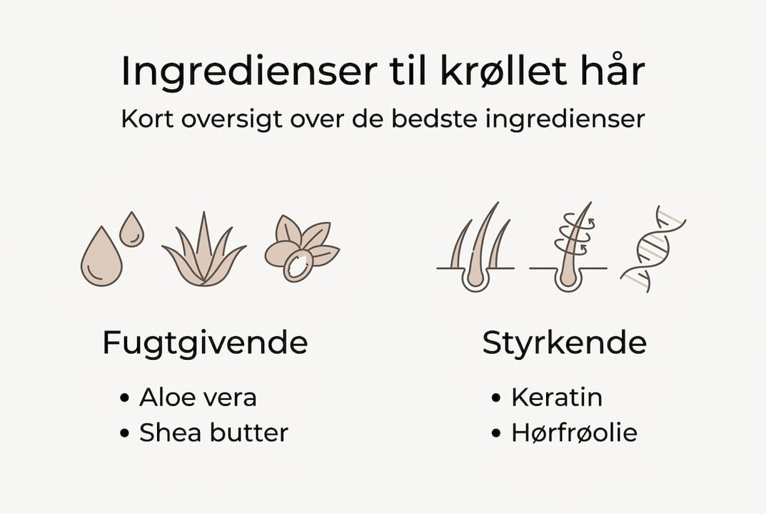 Infografik: De bedste ingredienser til krøllet hår