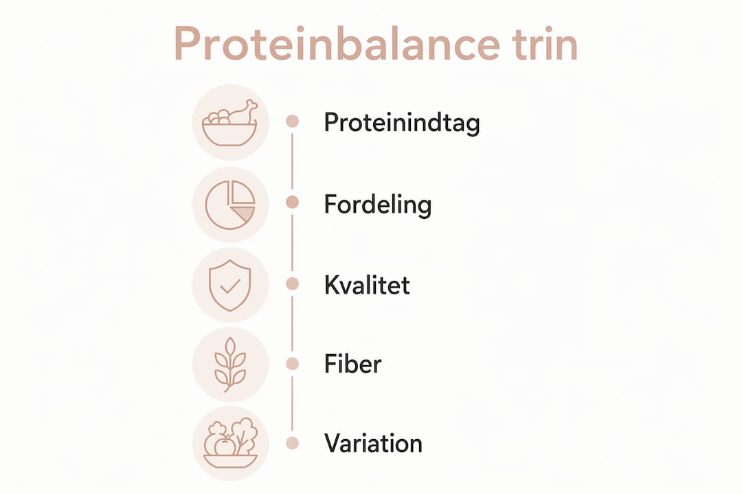 Oversigt: Sådan holder du styr på din proteinbalance – trin for trin