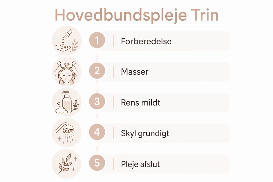 Se vores infografik med en nem guide til, hvordan du plejer din hovedbund trin for trin.