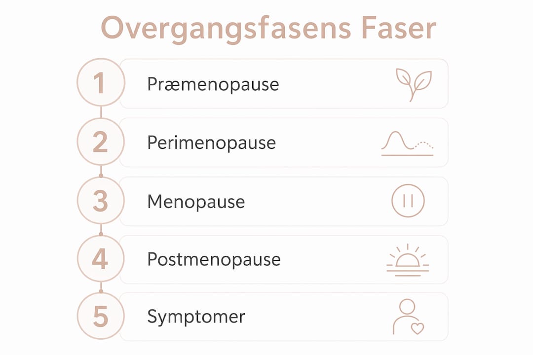 Oversigt: Faser og symptomer i overgangsalderen