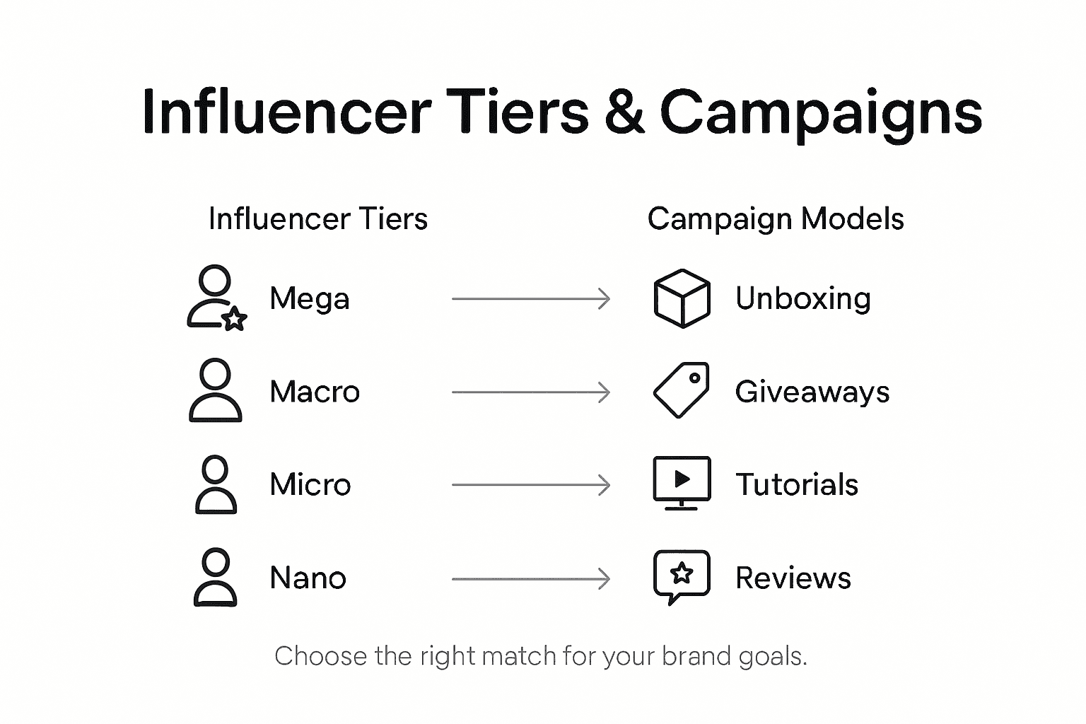 Infographic showing influencer types and campaigns