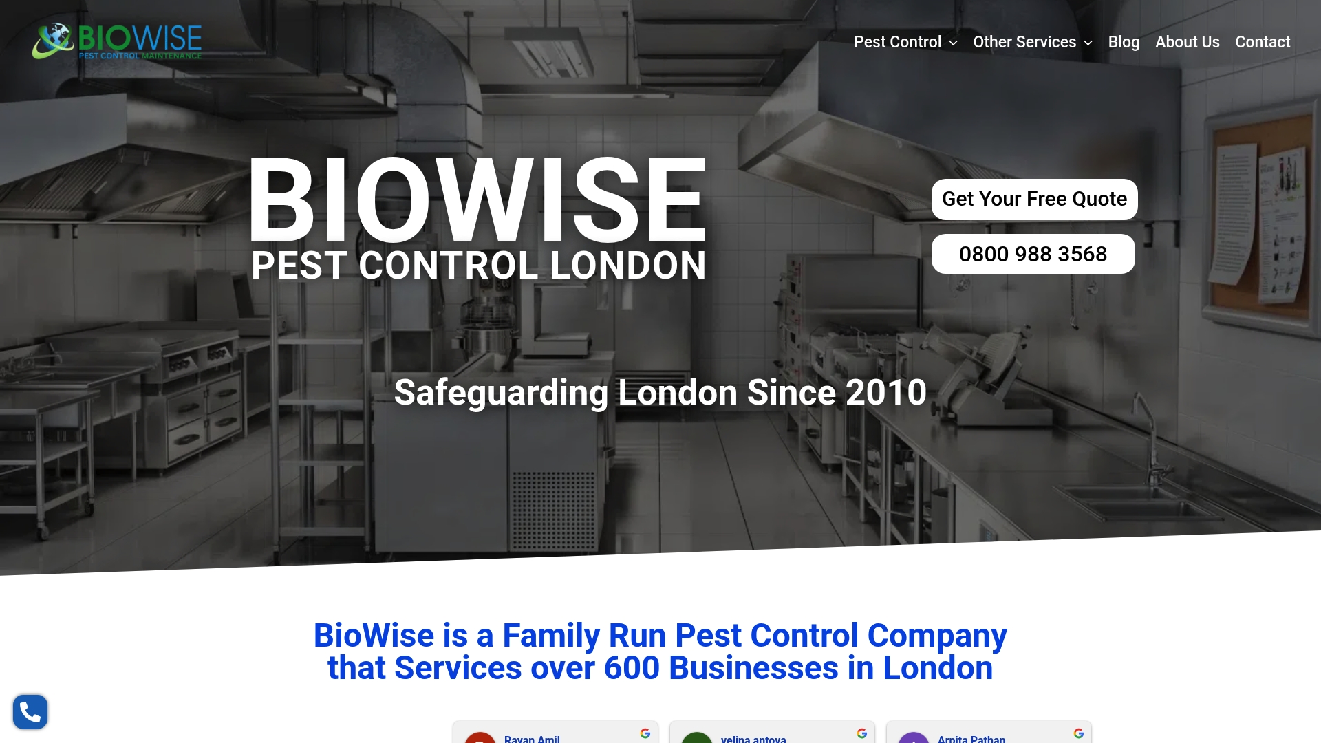 https://biowiseservices.com