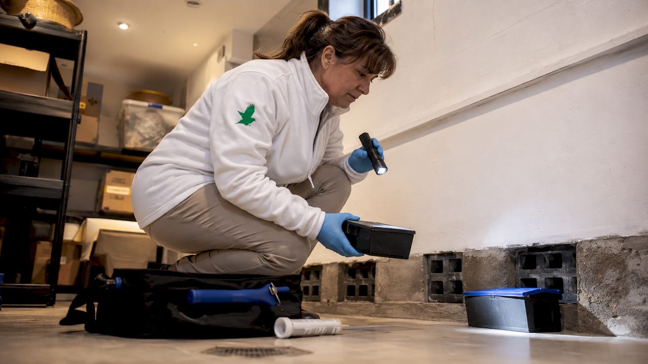 Female professional inspecting restaurant basement vents