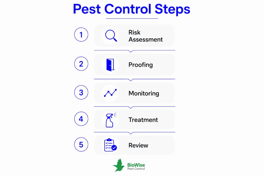 Infographic illustrating pest control steps sequence