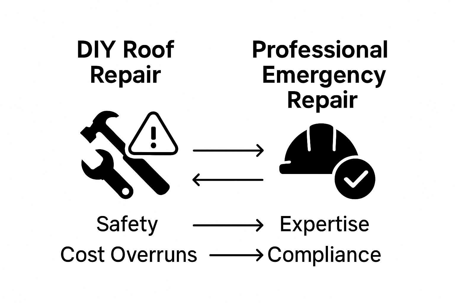 Infographic comparing DIY and professional roof repair