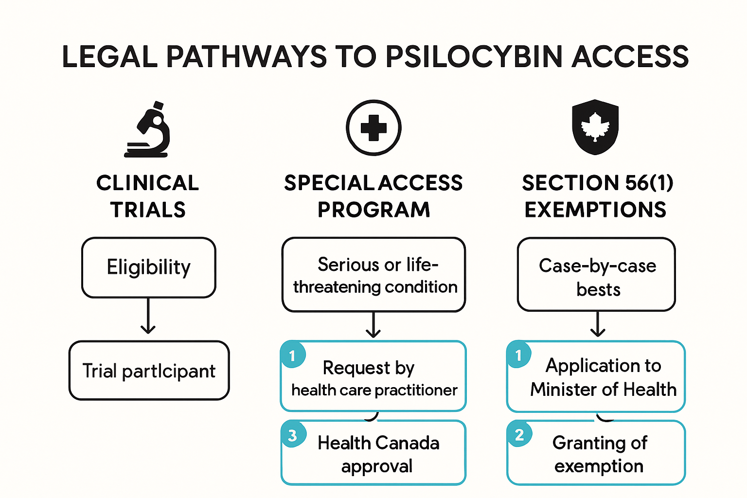 Psilocybin for Focus: Boosting Mental Clarity in 2025, KIND STRANGER