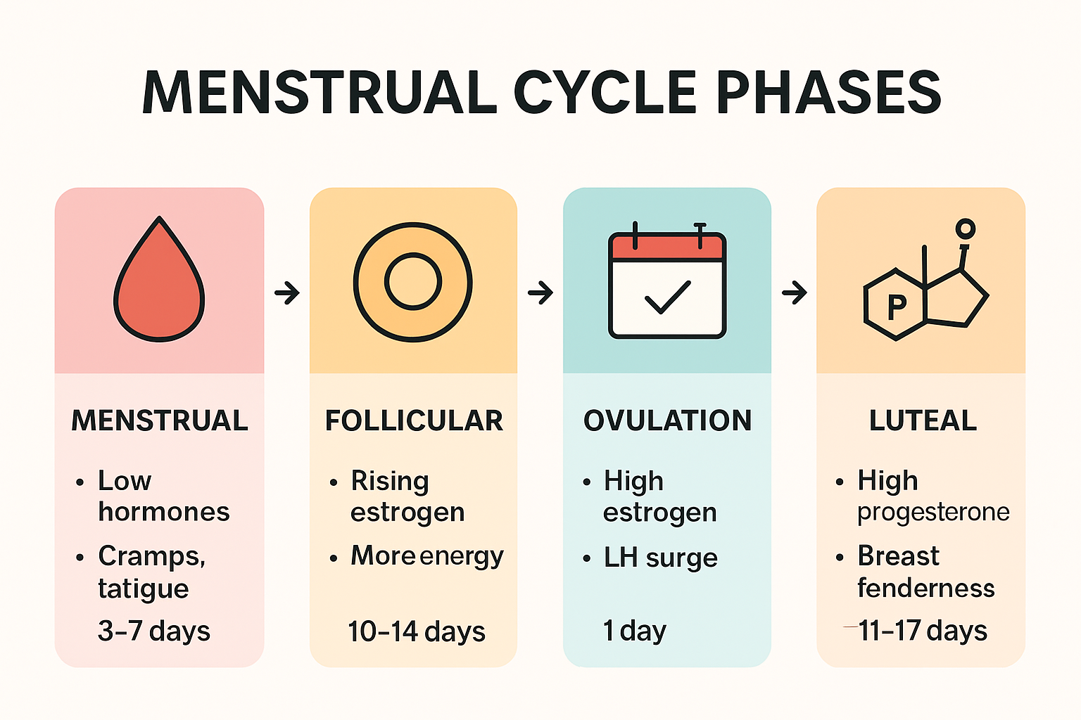 Infographic comparing the four menstrual cycle phases