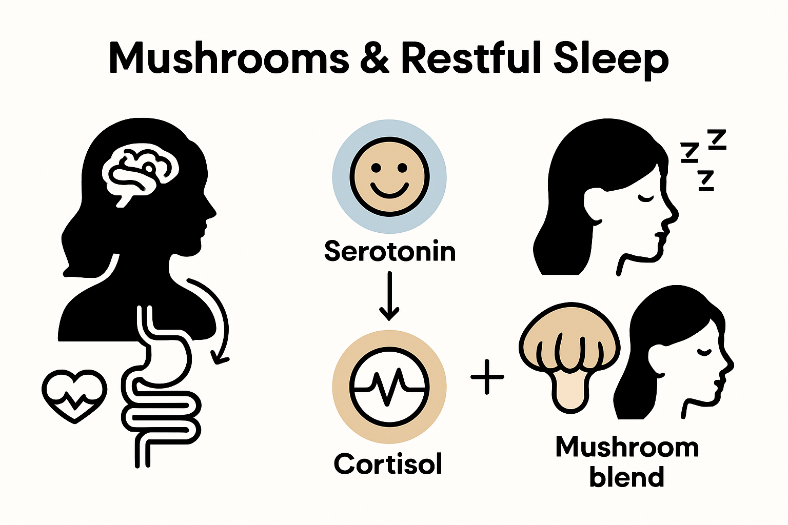 Infographic showing ways mushrooms improve women's sleep