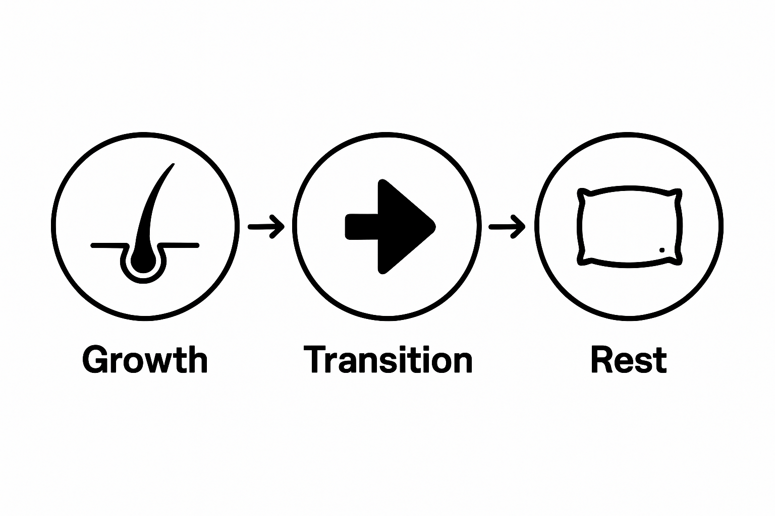 Three-phase hair growth cycle with icons for growth, transition, and rest