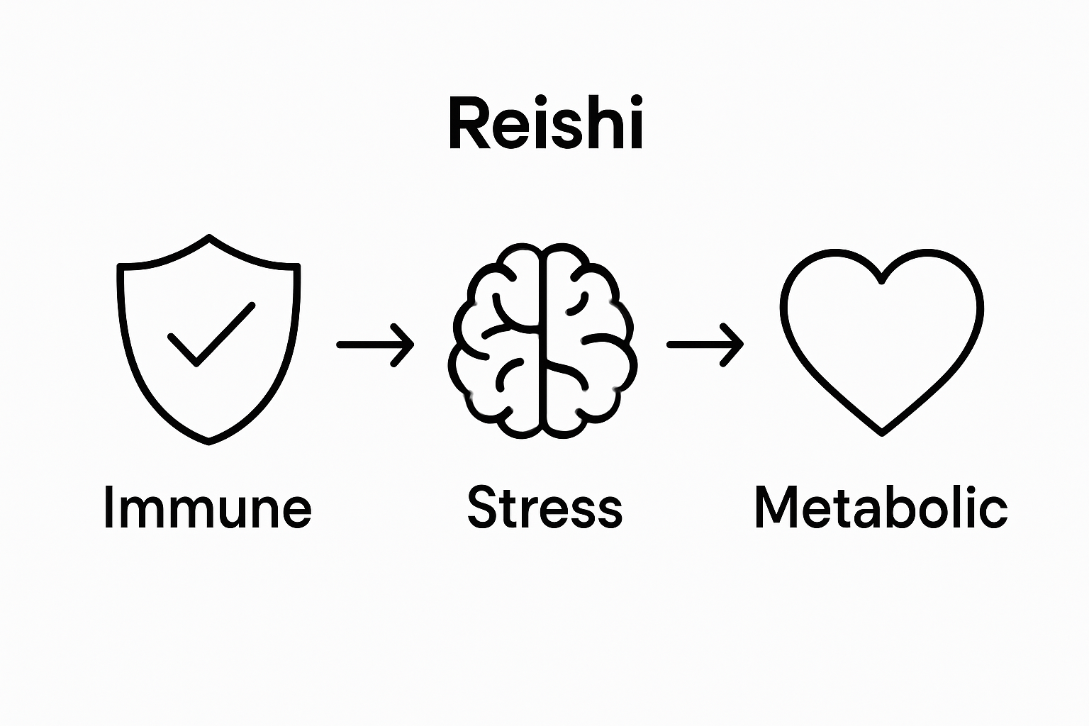 Infographic showing immune, stress, and metabolic benefits of reishi mushrooms