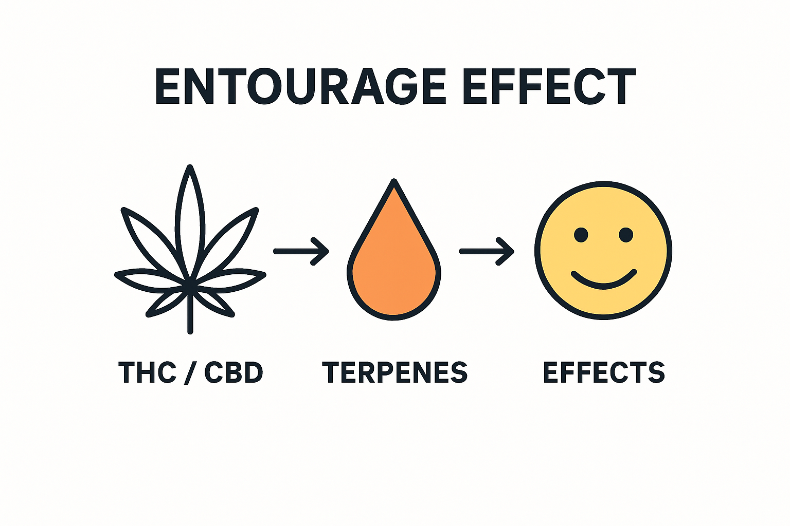 Infographic of entourage effect: cannabinoids, terpenes, effects