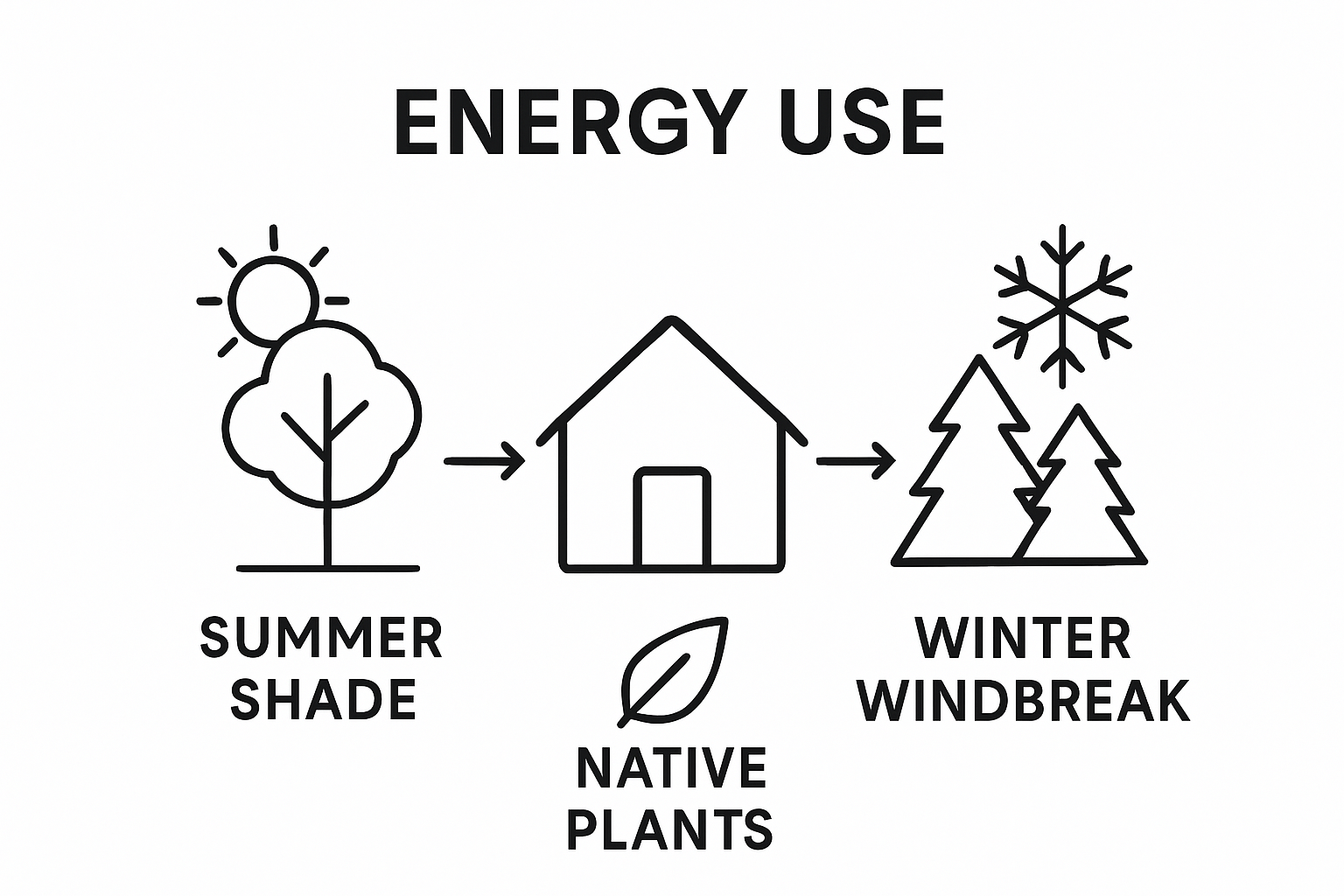 Infographic showing summer shade, winter windbreak, native plants and their relationship to energy savings.