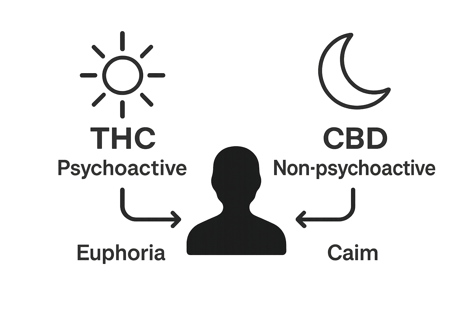THC vs CBD infographic with icons and single-word labels