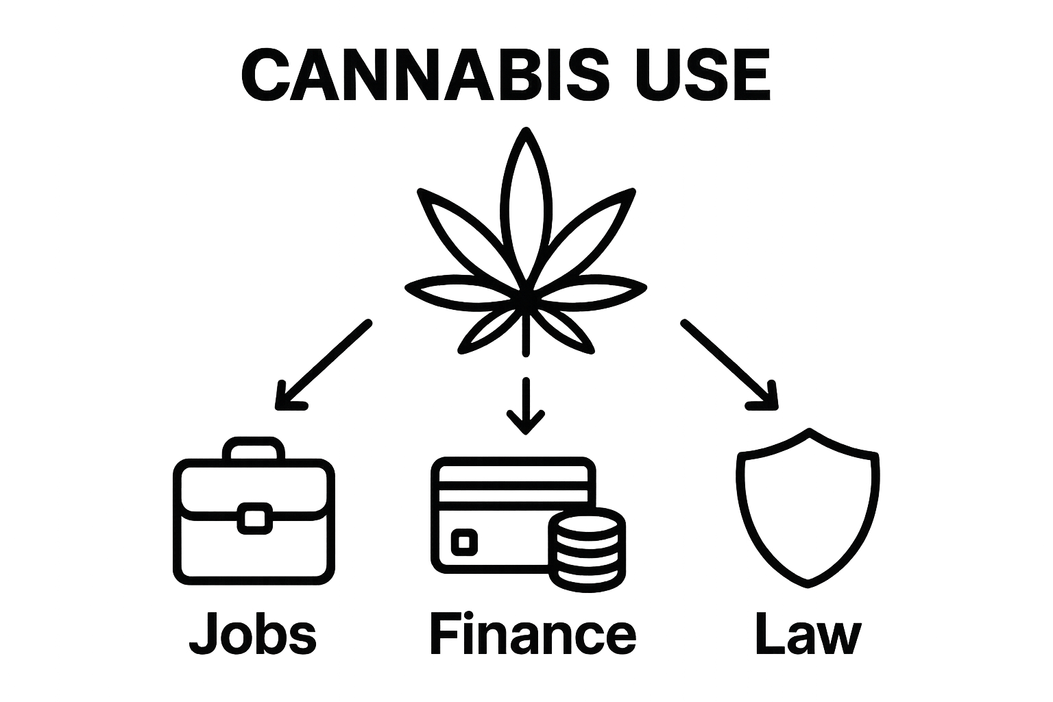 Infographic showing top cannabis user privacy risks: job, financial, legal