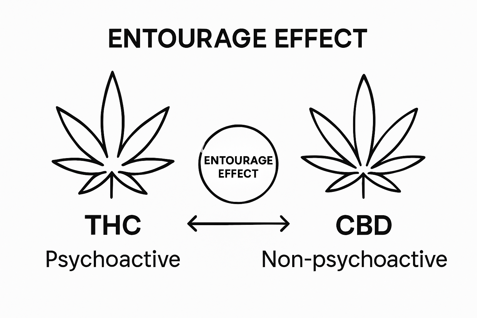 Infographic comparing THC and CBD with key differences