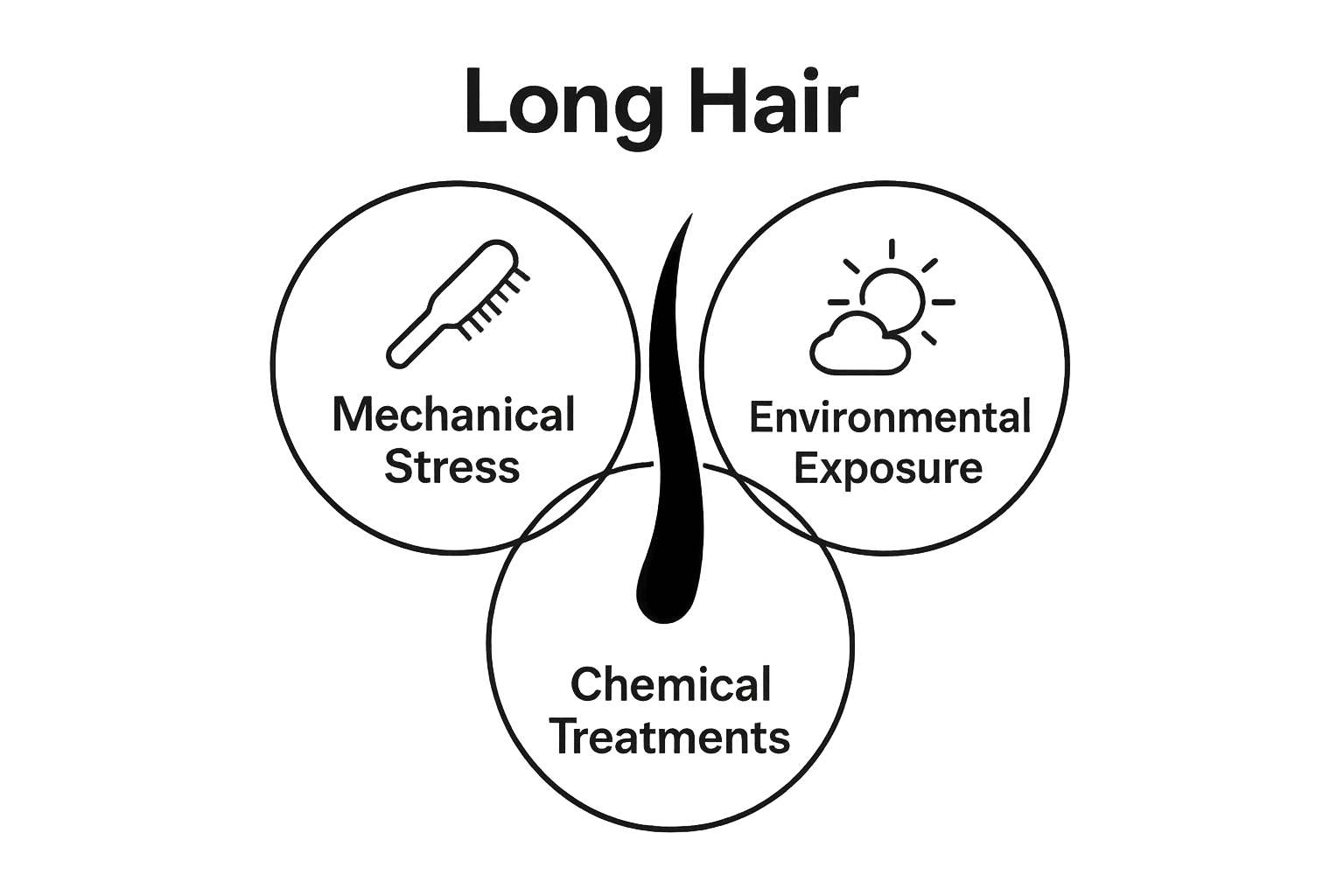Infographic showing three key long hair challenges: mechanical, environmental, chemical