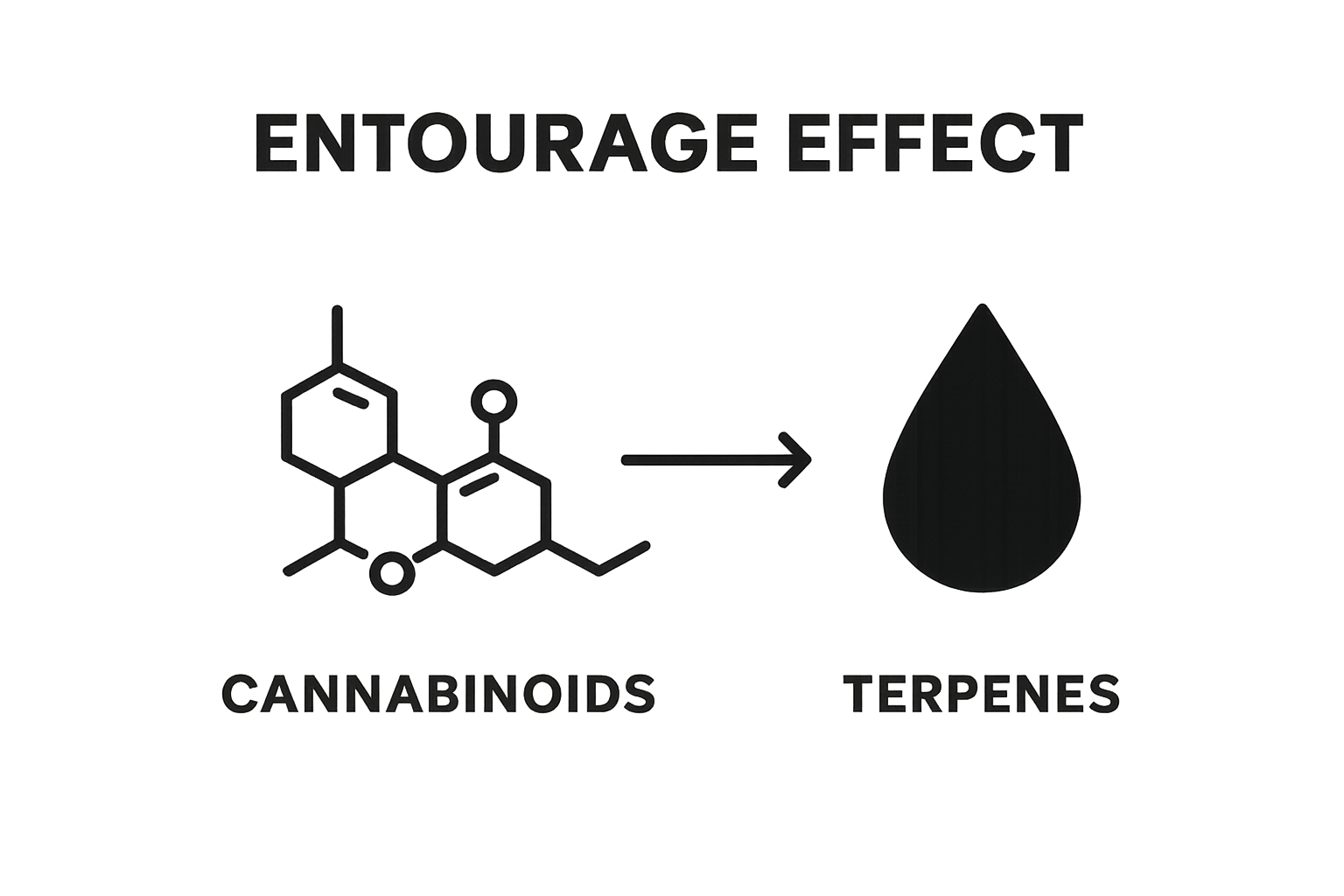 Side-by-side cannabinoids vs. terpenes infographic with synergy arrow