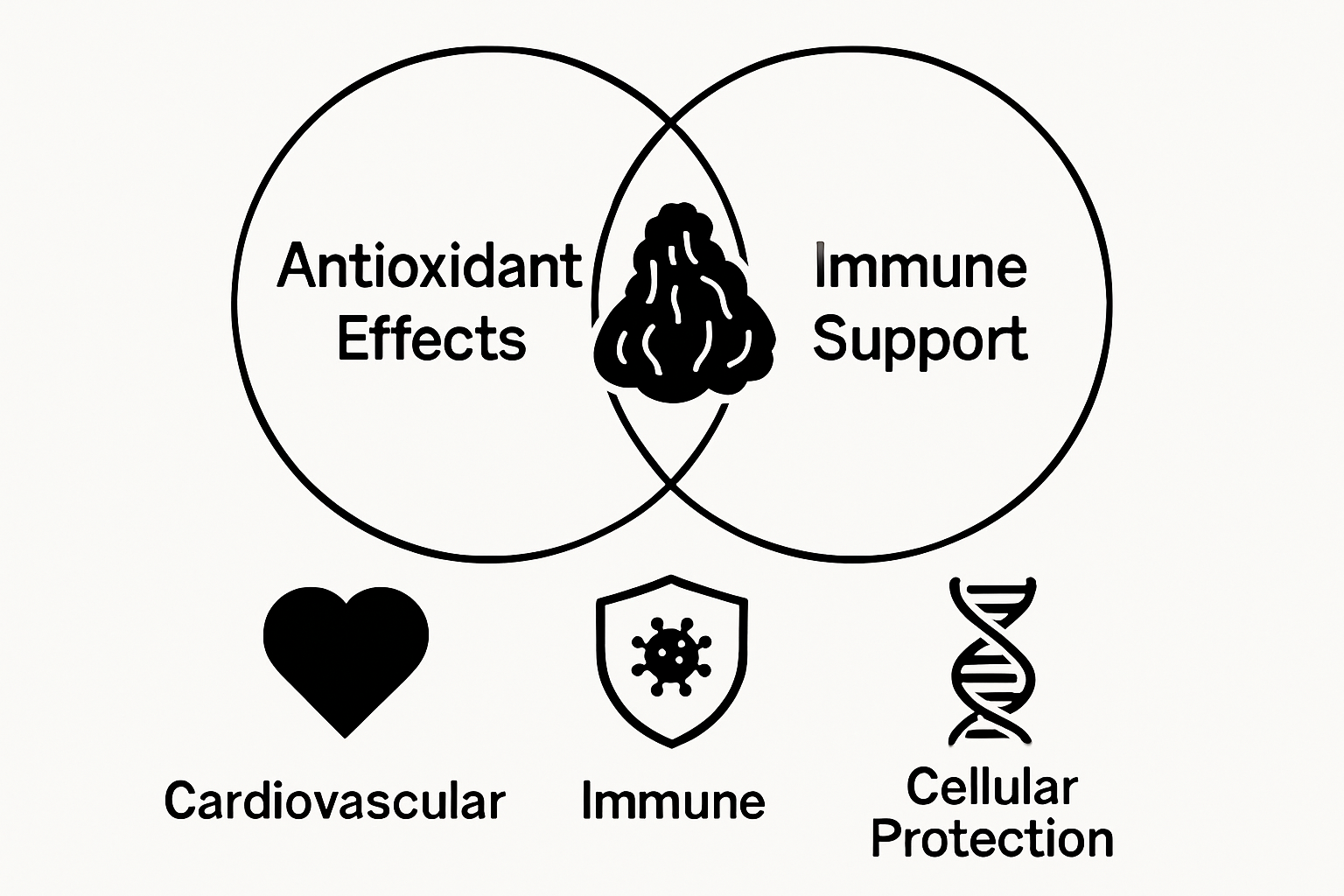Chaga mushroom health benefits comparison visual