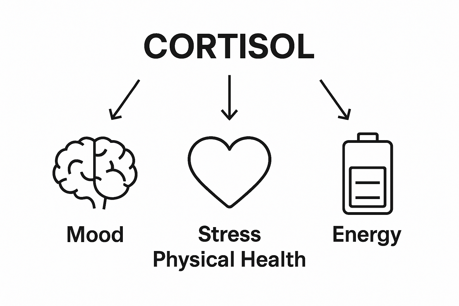 Infographic showing cortisol's impact on mood, stress, and energy