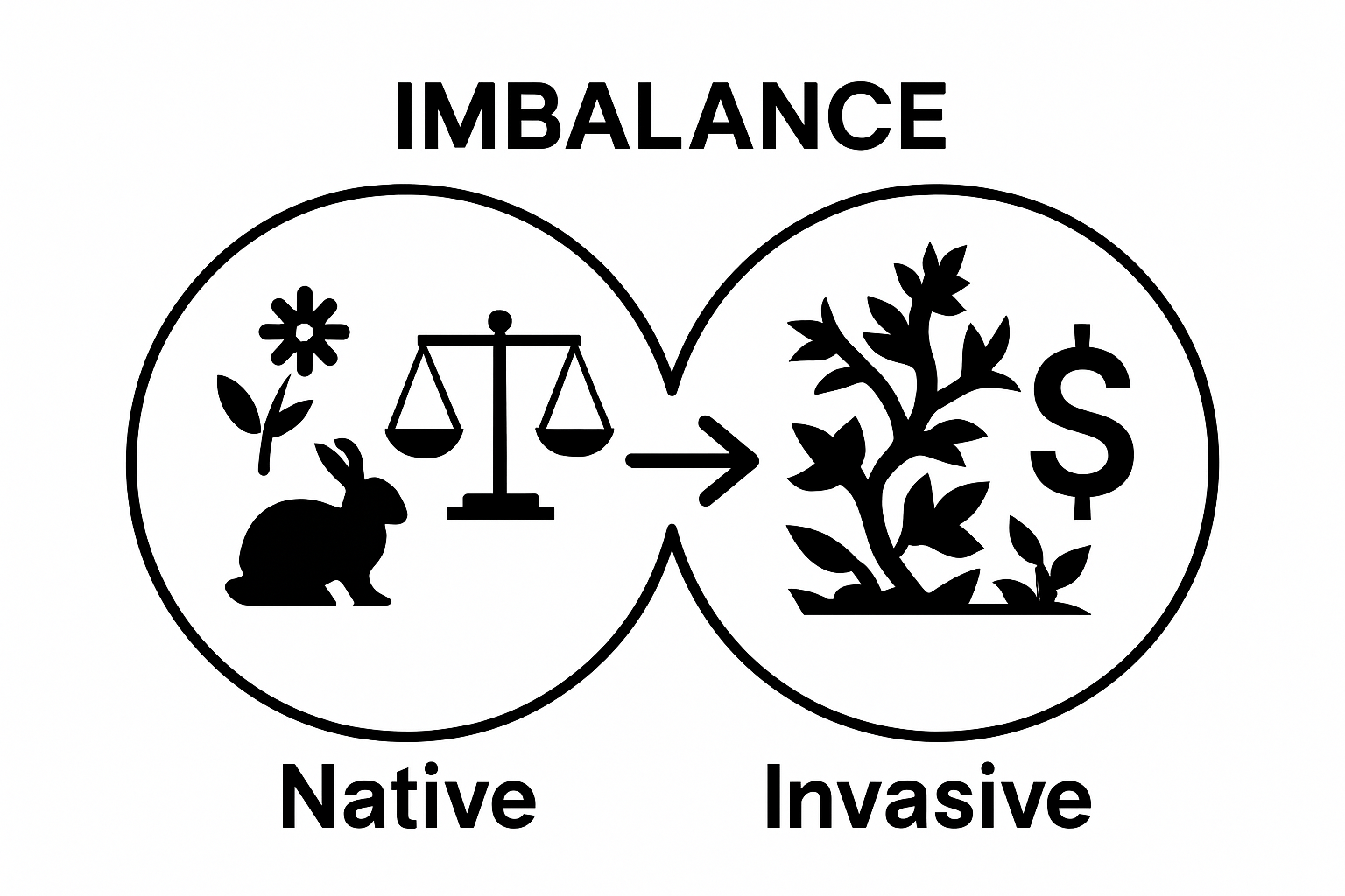 Comparison of native vs invasive species impacts