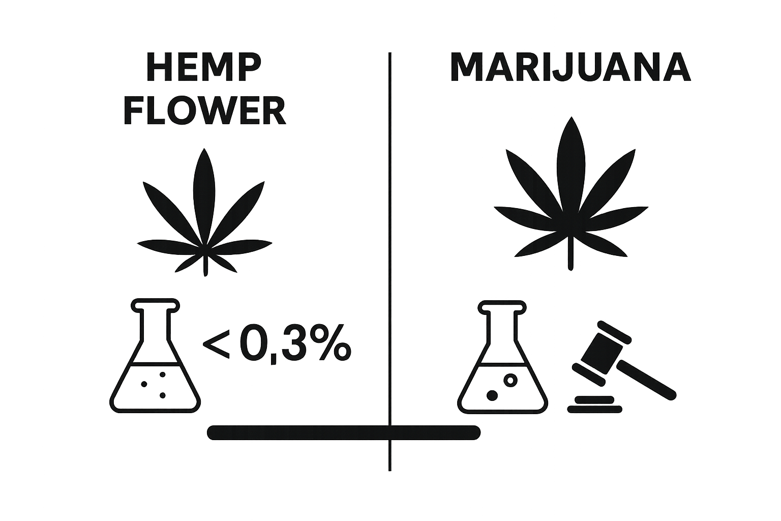 Infographic showing hemp flower and marijuana legal differences by THC content