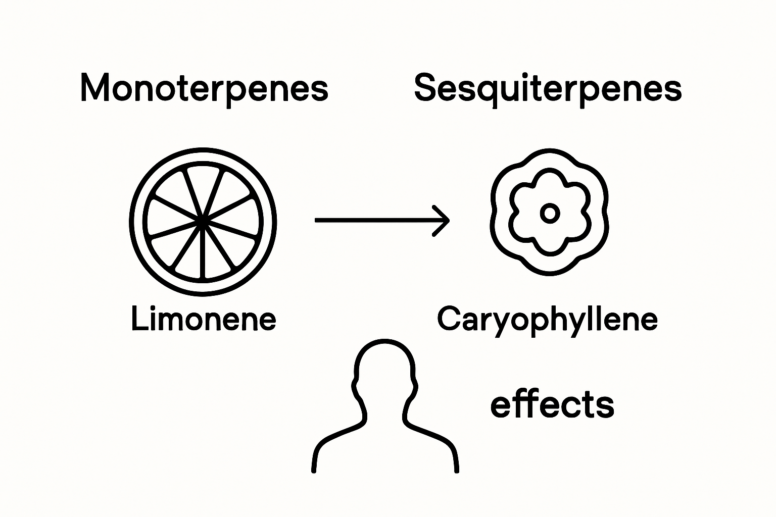 Infographic showing main cannabis terpene groups and icons
