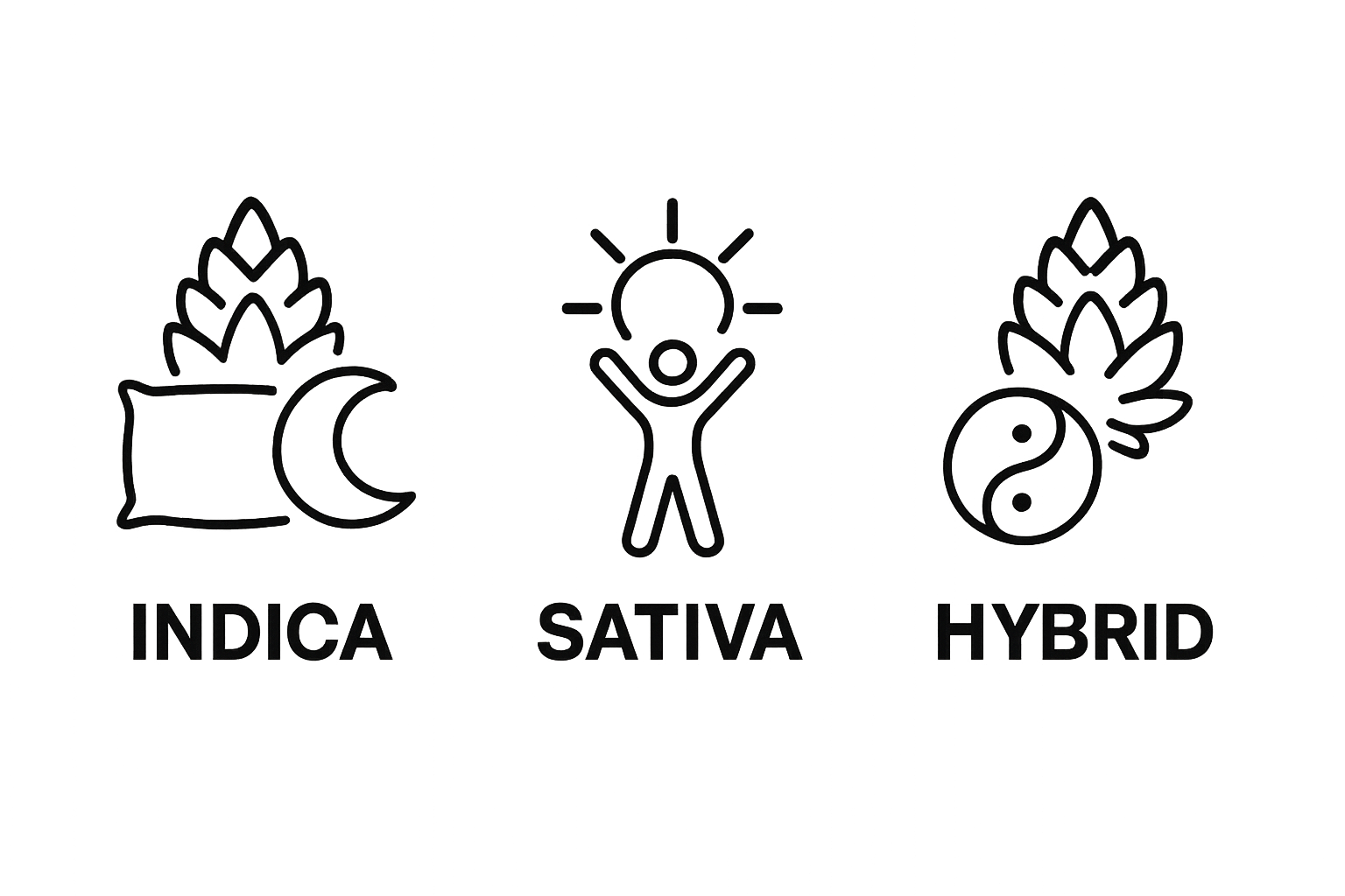 Infographic showing Indica, Sativa, Hybrid cannabis bundle types