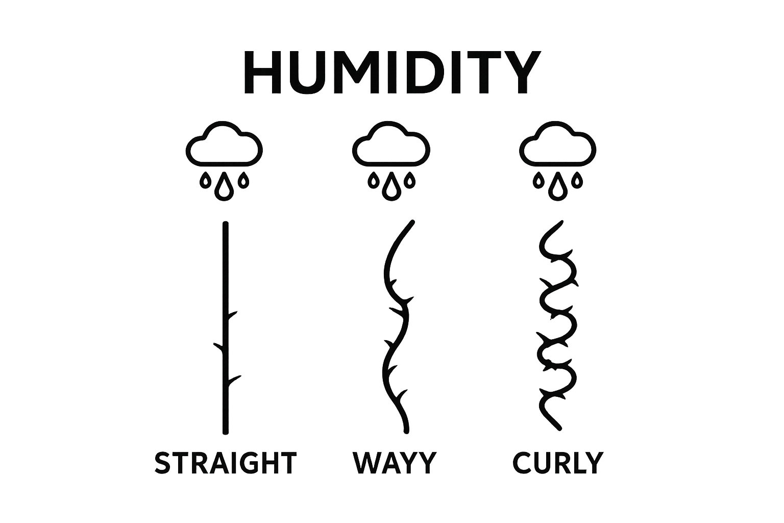 Infographic comparing how straight, wavy, and curly hair react to humidity